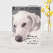 Schattige Witte Hond Grijze Verlies van Huisdier S Kaart (Gele Bloem)