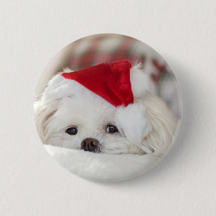 Schattige witte hond in een rode kersthoed ronde button 5,7 cm
