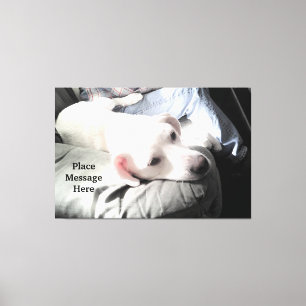 Schattige witte hond zittend met vader in het zonl canvas afdruk