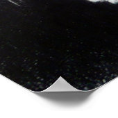 Schattige witte kat Dieren tekening kunst Kattenli Poster (Hoek)