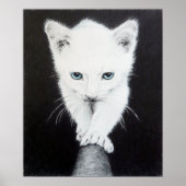 Schattige witte kat Dieren tekening kunst Kattenli Poster (Voorkant)