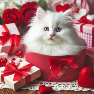 Schattige witte kitten in doos Grappige Valentijn Feestdagenkaart