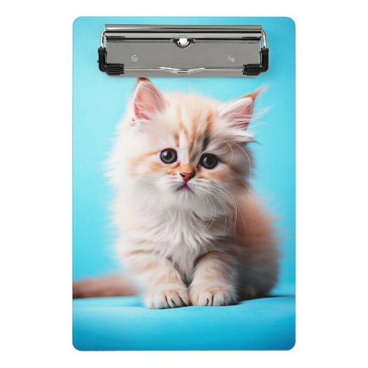 Schattige Witte Kitten Portret-54971 Mini Klembord (Voorkant)