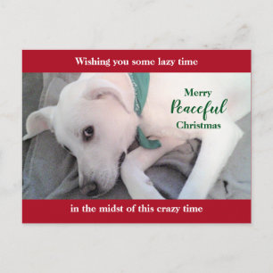 Schattige Witte Labrador Hond Lui Rode Kerst Vakan Briefkaart