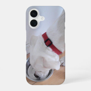 Schattige witte Labradormix puppy hond drinkt wate iPhone 16 Hoesje