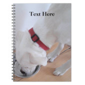 Schattige Witte Labradormix Puppy Hond Terug naar Notitieboek (Voorkant)