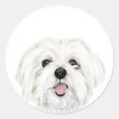 schattige witte maltese hond ronde sticker (Voorkant)