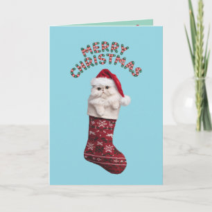 Schattige Witte Perzische Katten Kerstmis Kaart