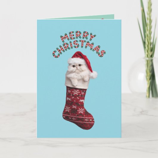 Schattige Witte Perzische Katten Kerstmis Kaart (Voorkant)