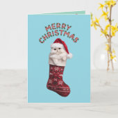 Schattige Witte Perzische Katten Kerstmis Kaart (Gele Bloem)