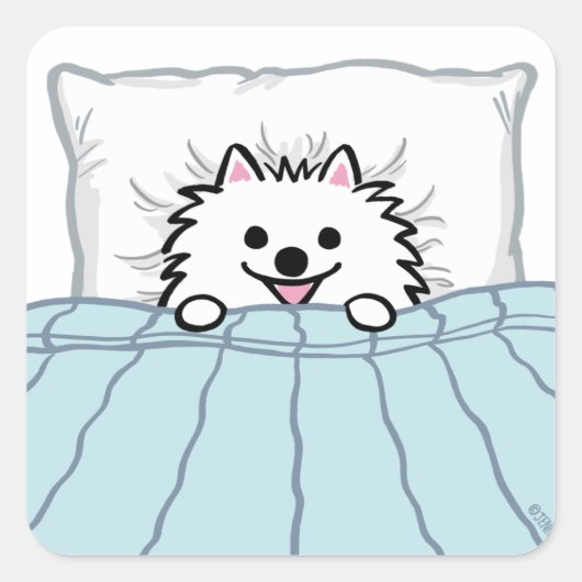 Schattige witte pommerse hond, geplukt in bed vierkante sticker (Voorkant)