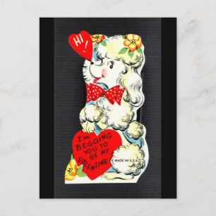 Schattige Witte Poodle Oude Valentijnskaart Briefkaart