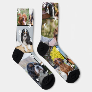 Schattige Witte Pootafdrukken 14 Huisdierfoto's Sokken