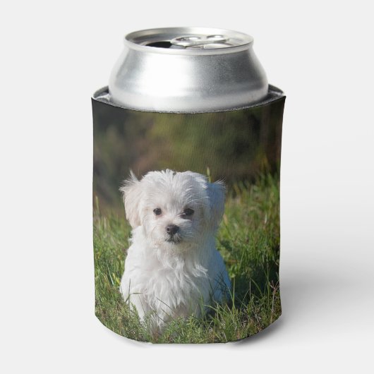 Schattige witte puppy blikjeskoeler (Blikje Voorkant)