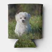 Schattige witte puppy blikjeskoeler (Voorkant)