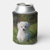 Schattige witte puppy blikjeskoeler (Blikje Achterkant)