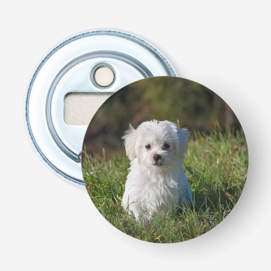 Schattige witte puppy button flesopener (Voorkant)