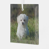 Schattige witte puppy glas ornament (Voorkant links)