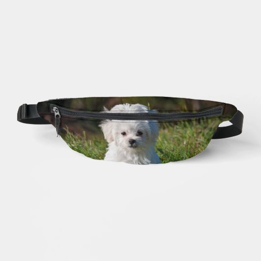 Schattige witte puppy heuptasje (Voorkant)