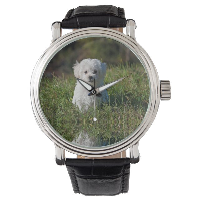 Schattige witte puppy horloge (Voorkant)