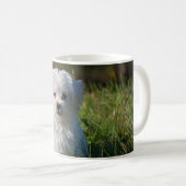 Schattige witte puppy koffiemok (Voorkant rechts)