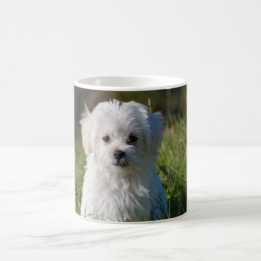 Schattige witte puppy koffiemok (Center)