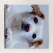 Schattige Witte Puppy Legpuzzel (Horizontaal)