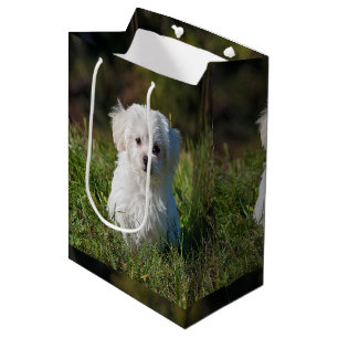Schattige witte puppy medium cadeauzakje