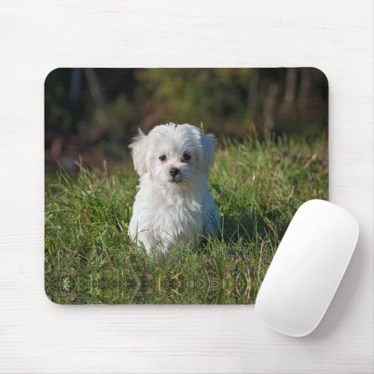Schattige witte puppy muismat (Met muis)