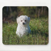Schattige witte puppy muismat (Voorkant)