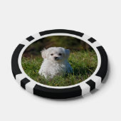 Schattige witte puppy poker chips (Enkel)