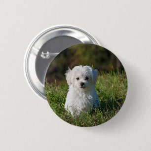 Schattige witte puppy ronde button 5,7 cm