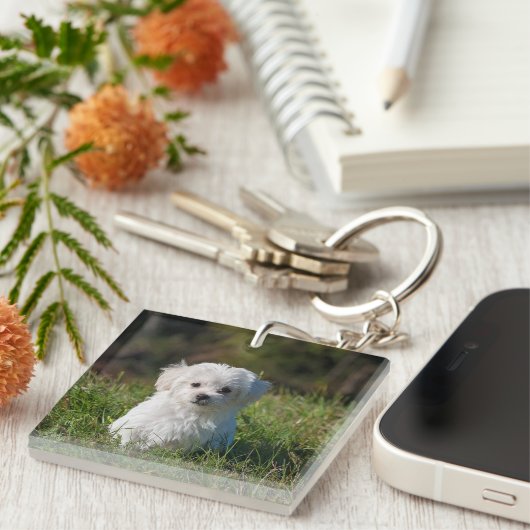 Schattige witte puppy sleutelhanger (Voorkant Rechts)