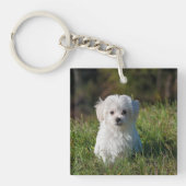 Schattige witte puppy sleutelhanger (voorkant)