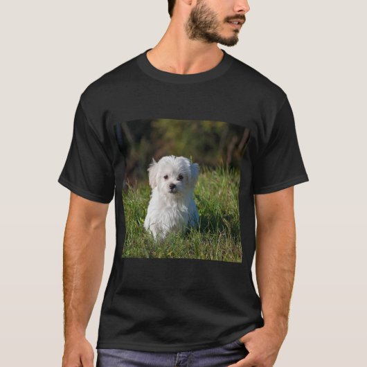 Schattige witte puppy t-shirt (Voorkant)