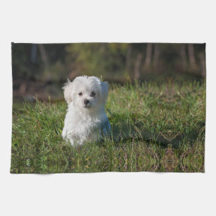 Schattige witte puppy theedoek