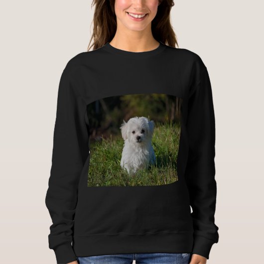 Schattige witte puppy trui (Voorkant)