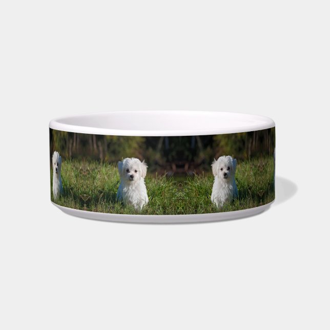 Schattige witte puppy voerbakje (Voorkant)