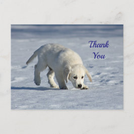 Schattige Witte Puppysneeuwfoto Bedankt Briefkaart