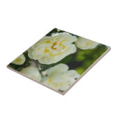 Schattige witte rozen voor positief tegeltje (Zijkant)