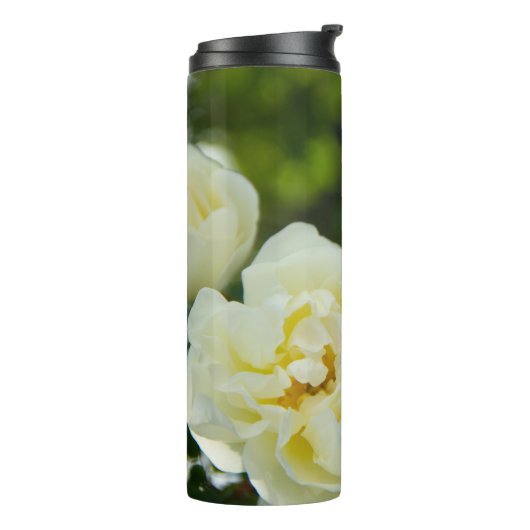 Schattige witte rozen voor positief thermosbeker (Gedraaid links)