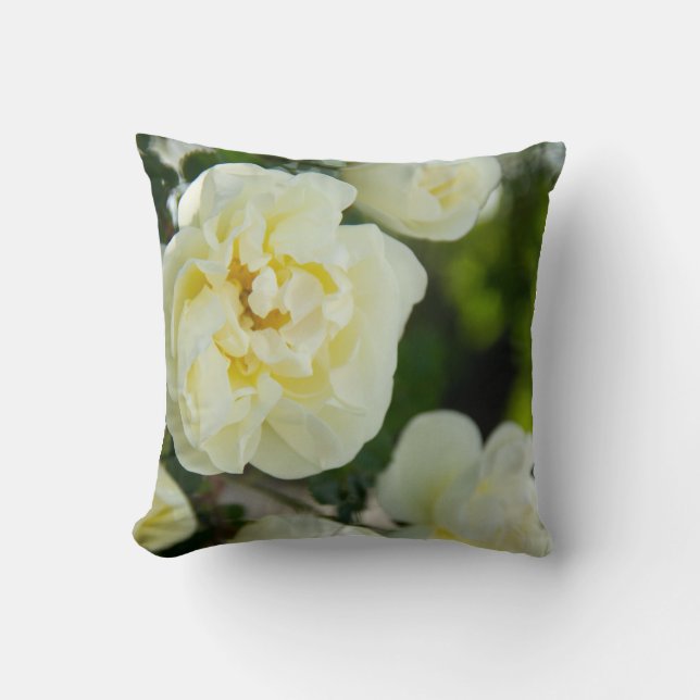 Schattige witte rozen voor positieve  kussen (Voorkant)