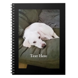 Schattige Witte Vermoeide Labradormix Puppy Hond Notitieboek