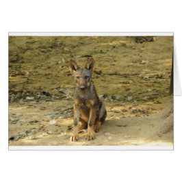 Schattige wolfsjong