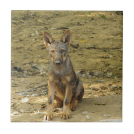 Schattige wolfsjong tegeltje