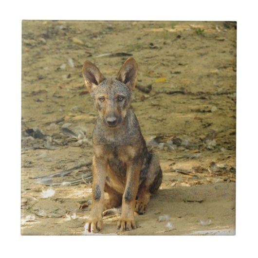 Schattige wolfsjong tegeltje (Voorkant)