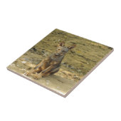 Schattige wolfsjong tegeltje (Zijkant)