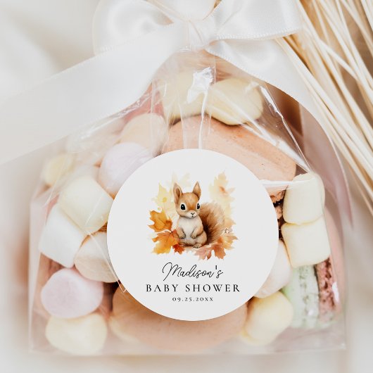 Schattige Woodland Eekhoorn Herfst Baby shower Ronde Sticker