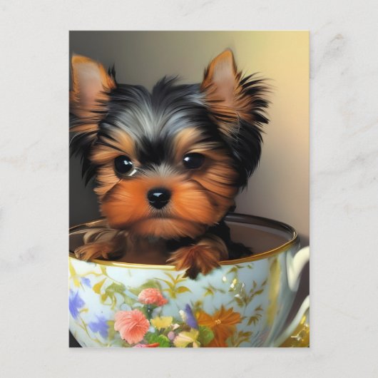 Schattige Yorkie in een theekopje Briefkaart (Voorkant)