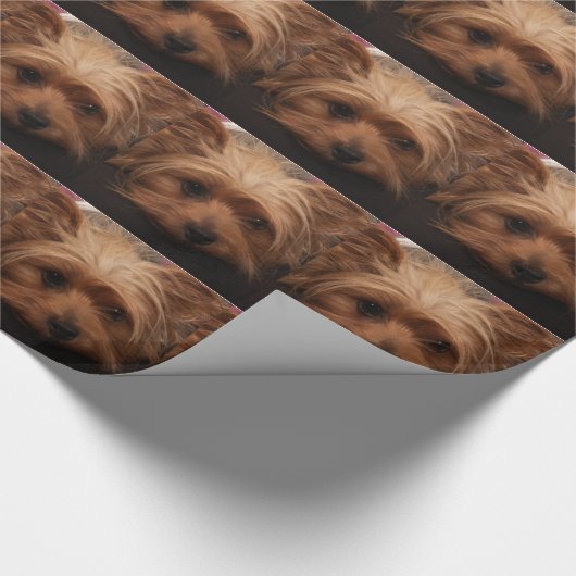 Schattige Yorkie inpakpapier (Hoek)
